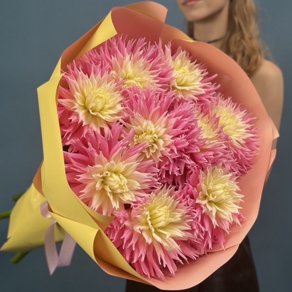 9 розово-желтых игольчатых георгин Джаст Меррид